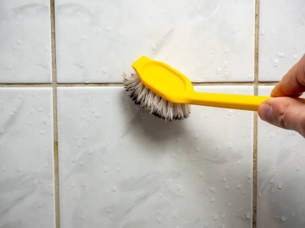 Best Affordable Mold Removal  in Colmar Manor, MD