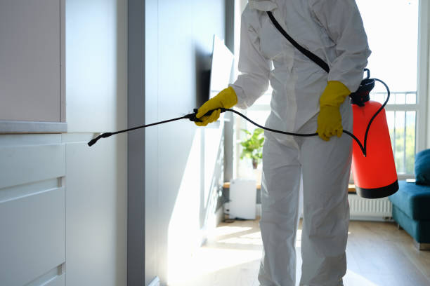 Best Best Mold Removal Companies  in Colmar Manor, MD